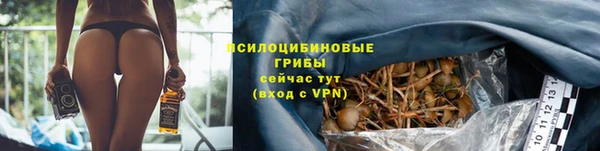 каннабис Алзамай
