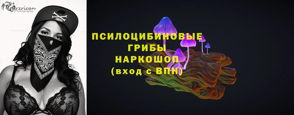 амф Алексин