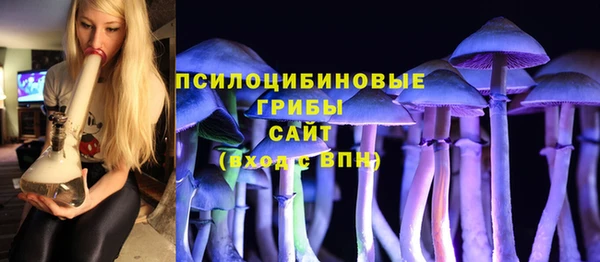 амф Алексин